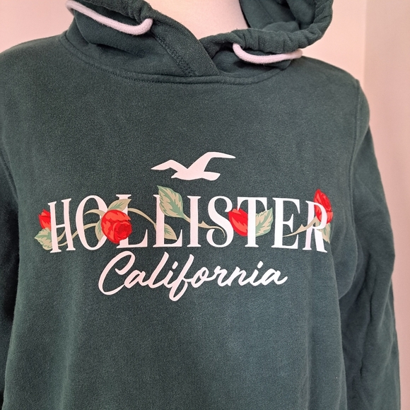 Hollister | Emerald green graphic logo pullover hoodie sweater - Picture 3 of 10